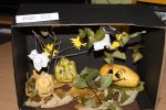 b_150_100_16777215_0_0_images_stories_aktualnosci_2013_spotkania_hallowen_IMG_2294.JPG