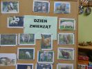 Światowy Dzień Zwierząt