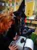 Lekcja biblioteczna