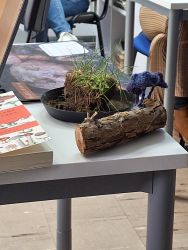 Zdjęcie przedstawia osoby podczas warsztatow o grzybach