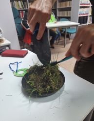 Zdjęcie przedstawia osoby podczas warsztatow o grzybach