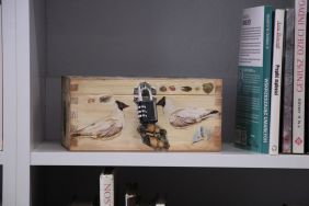 Zdjęcie przedstawia ludzi w bibliotece